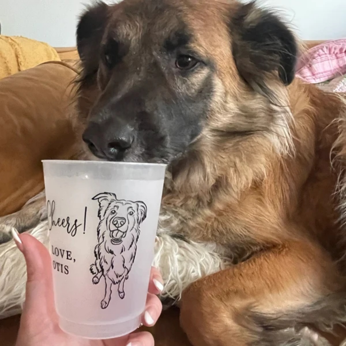 10/50 Kişiselleştirilmiş Buzlu - Plastic Cup 50Pcs incelemesi ve fiyatı