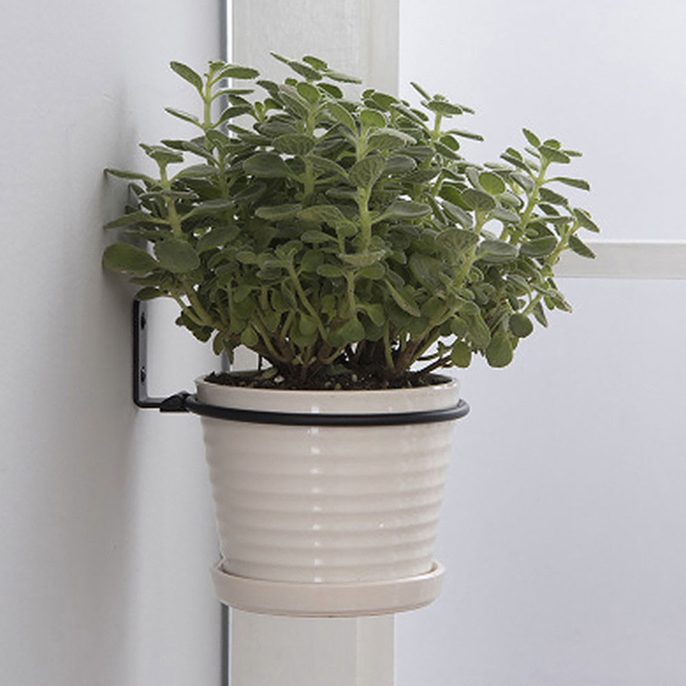 Saksı Tepsileri Duvara Monte P - Flower Wall Panel incelemesi ve fiyatı